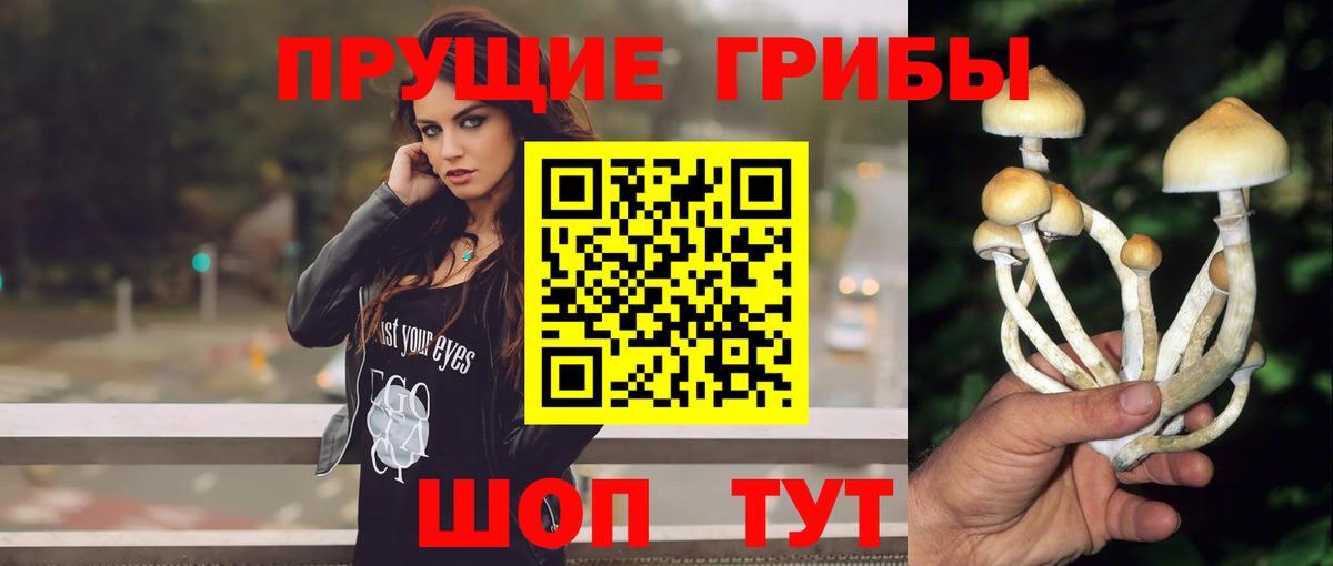 Псилоцибиновые грибы прущие грибы  Вход с VPN  Киселёвск 